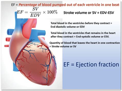 lv ejection fraction mod 4c